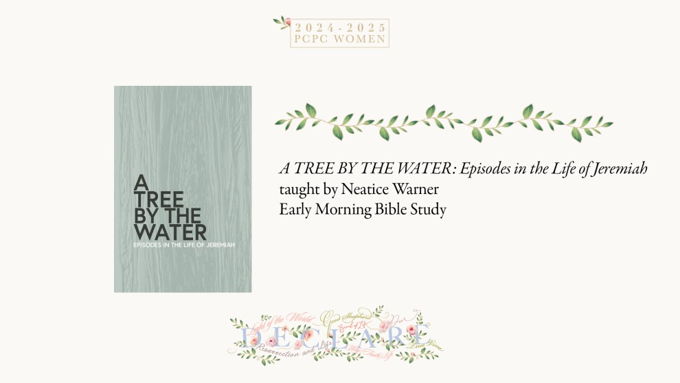 A Tree by the Water: Episodes from the Life of Jeremiah