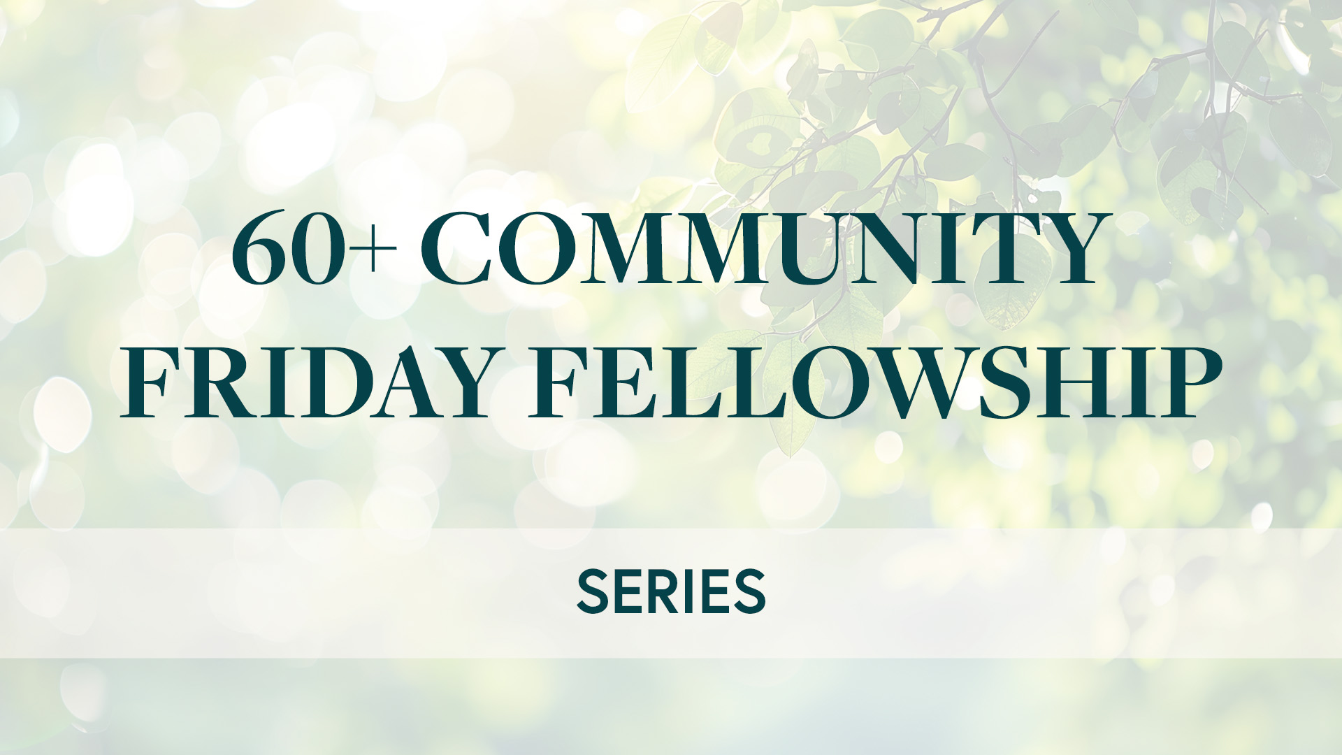 Friday Fellowship Series